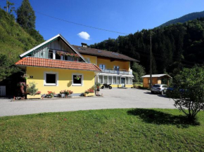 Apartment Schwarzwald-2